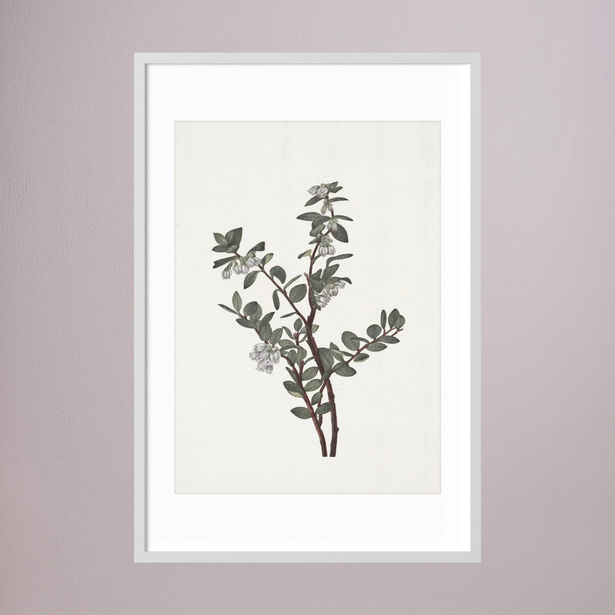 Green Berry Botanical Study Vintage Wall Art Print
