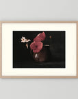 Vintage Red Poppy Still Life Art Print