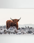 Highlander by Jaap Van Den Helm