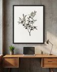 Olive Branch Botanical Study Vintage Wall Art Print