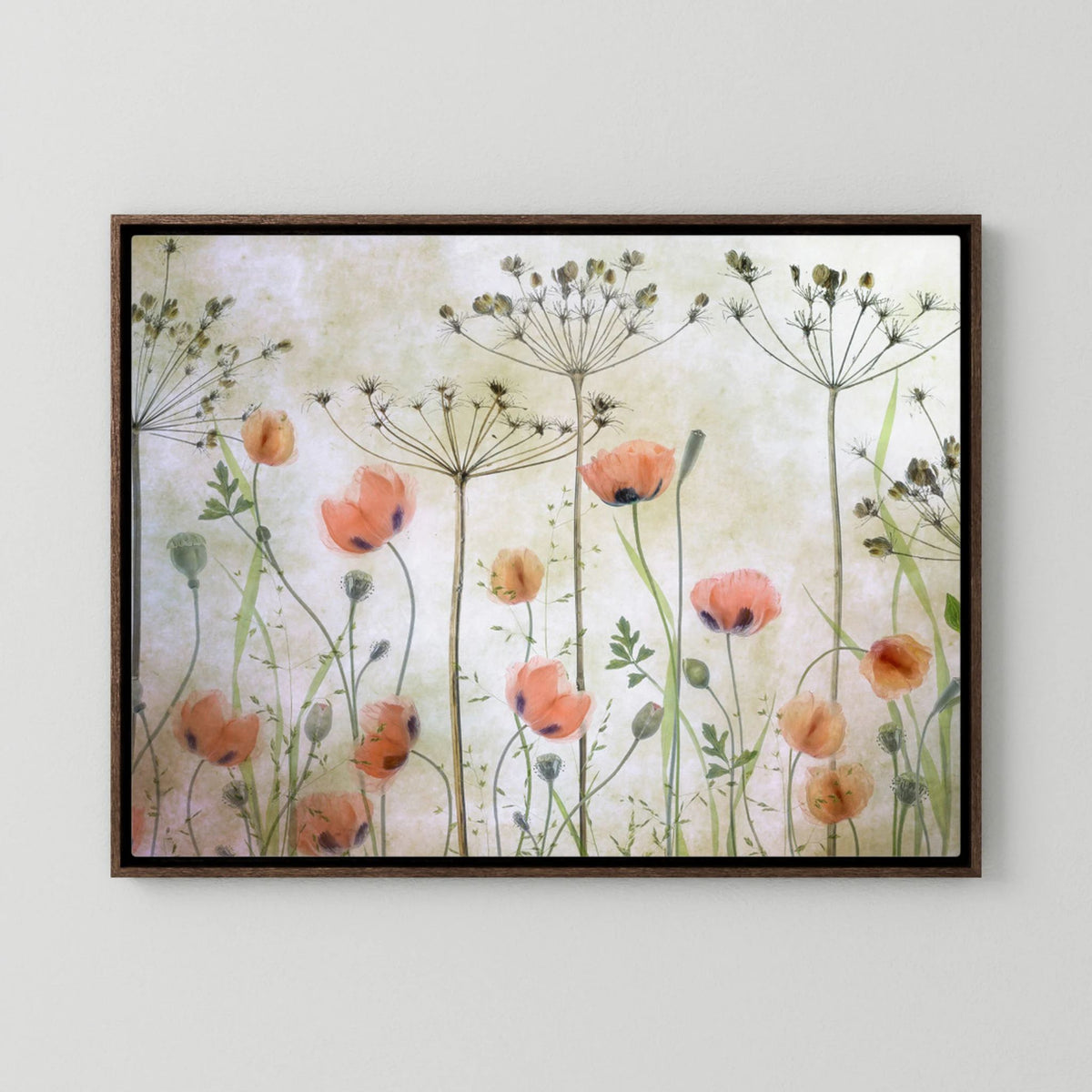 Poppy Meadow by Mandy Disher