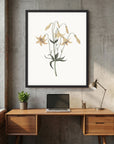 White Wildflower Botanical Study Vintage Wall Art Print