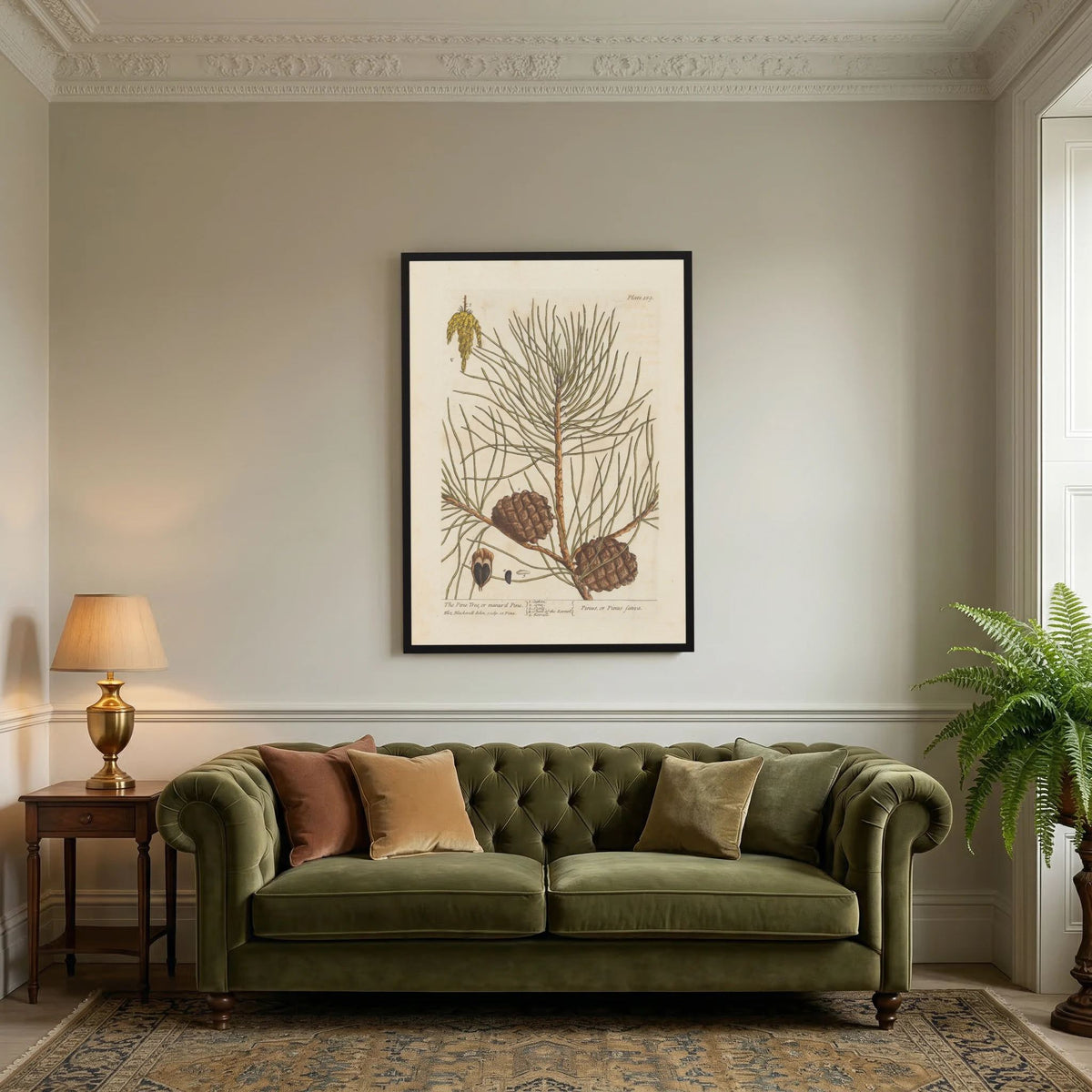 Vintage Pine Cone Botanical Art Print