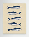 Sardines by Emeli Emaria