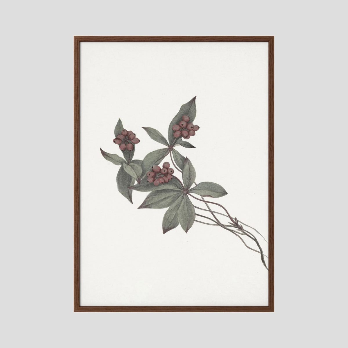 Pink Botanical Branch Study Vintage Wall Art Print Oak Dark No border