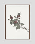 Pink Botanical Branch Study Vintage Wall Art Print Oak Dark No border