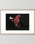 Vintage Red Poppy Still Life Art Print