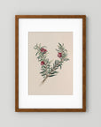 Vintage Red Berry Botanical Art Print
