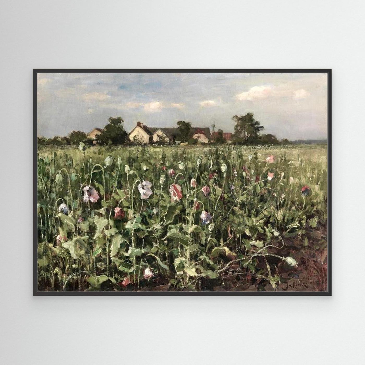 Wildflower Field Landscape