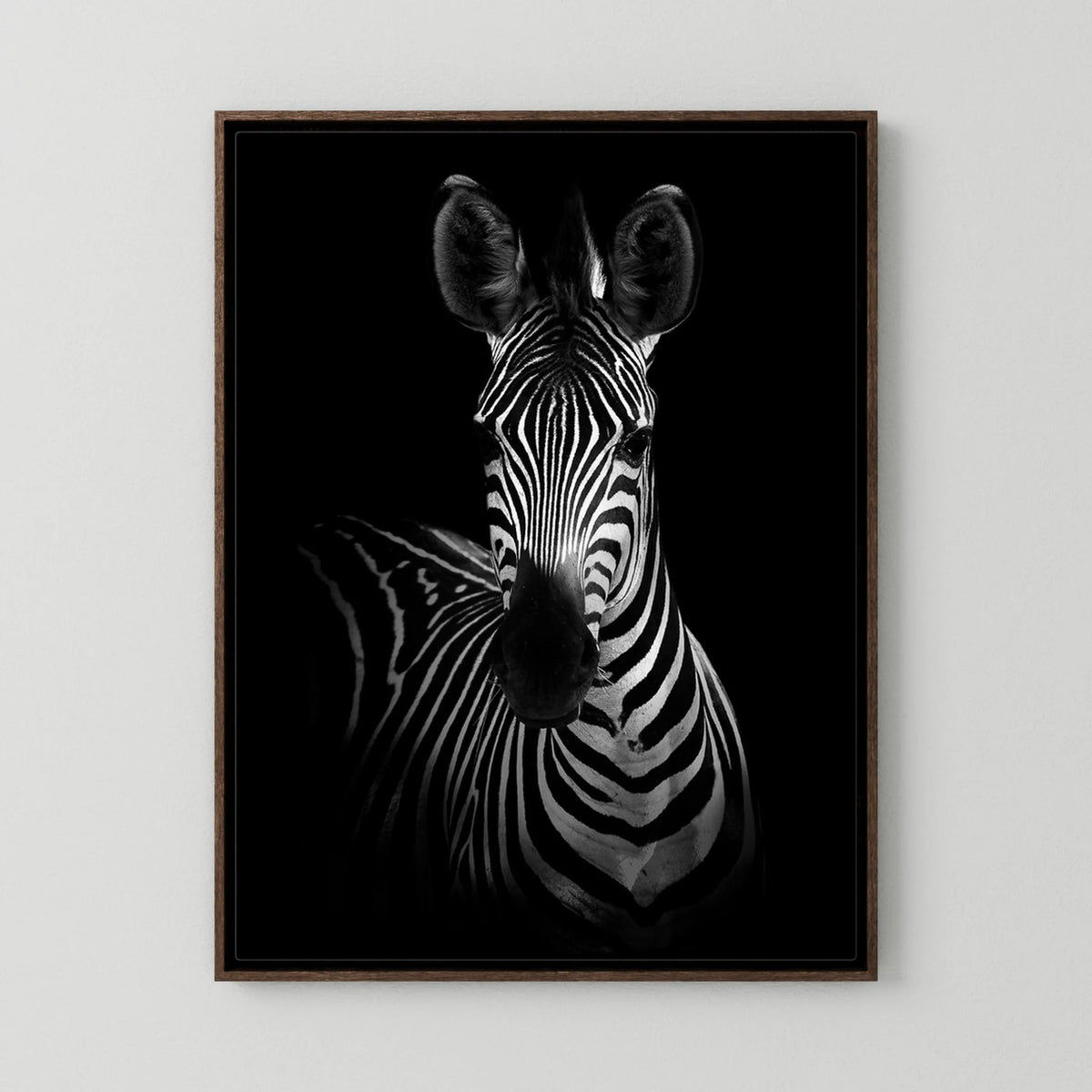 The Zebra by Wild Photo Art