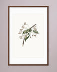 Delicate White Botanical Study Vintage Wall Art Print Oak Dark White