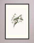 Delicate White Botanical Study Vintage Wall Art Print Black Wood Freja