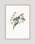 Delicate White Botanical Study Vintage Wall Art Print Oak Nature No border