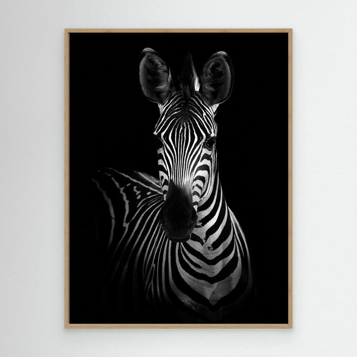 The Zebra by Wild Photo Art