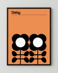 Daisy Mellow Yellow by Frances Collett