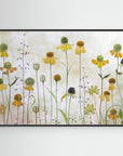 Helenium by Mandy Disher