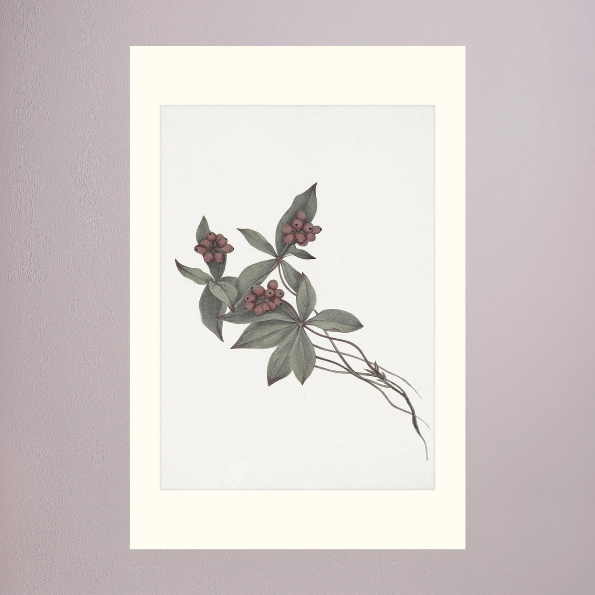 Pink Botanical Branch Study Vintage Wall Art Print No Frame Freja
