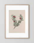 Vintage Red Berry Botanical Art Print