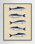 Sardines by Emeli Emaria