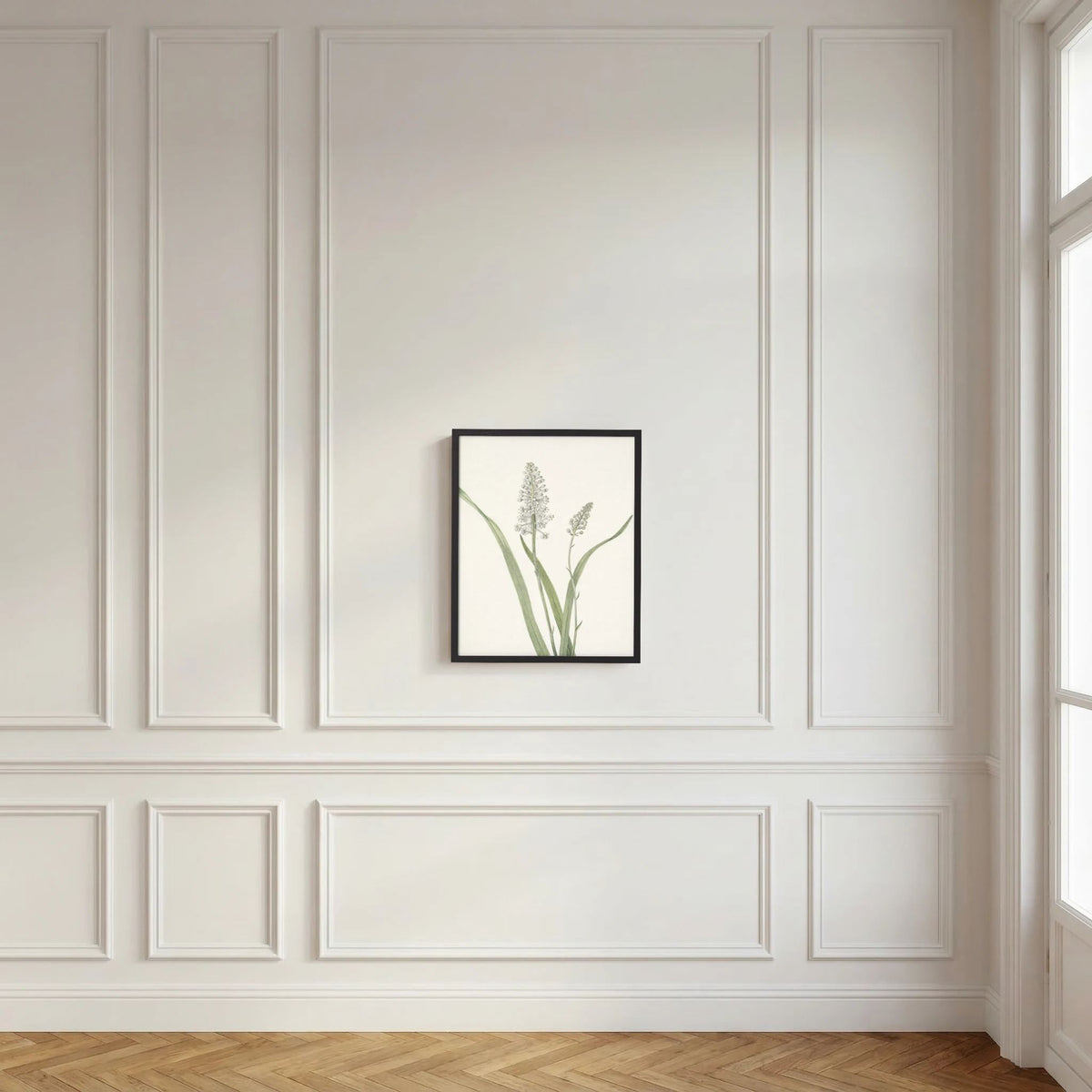 White Hyacinth Botanical Study Vintage Wall Art Print