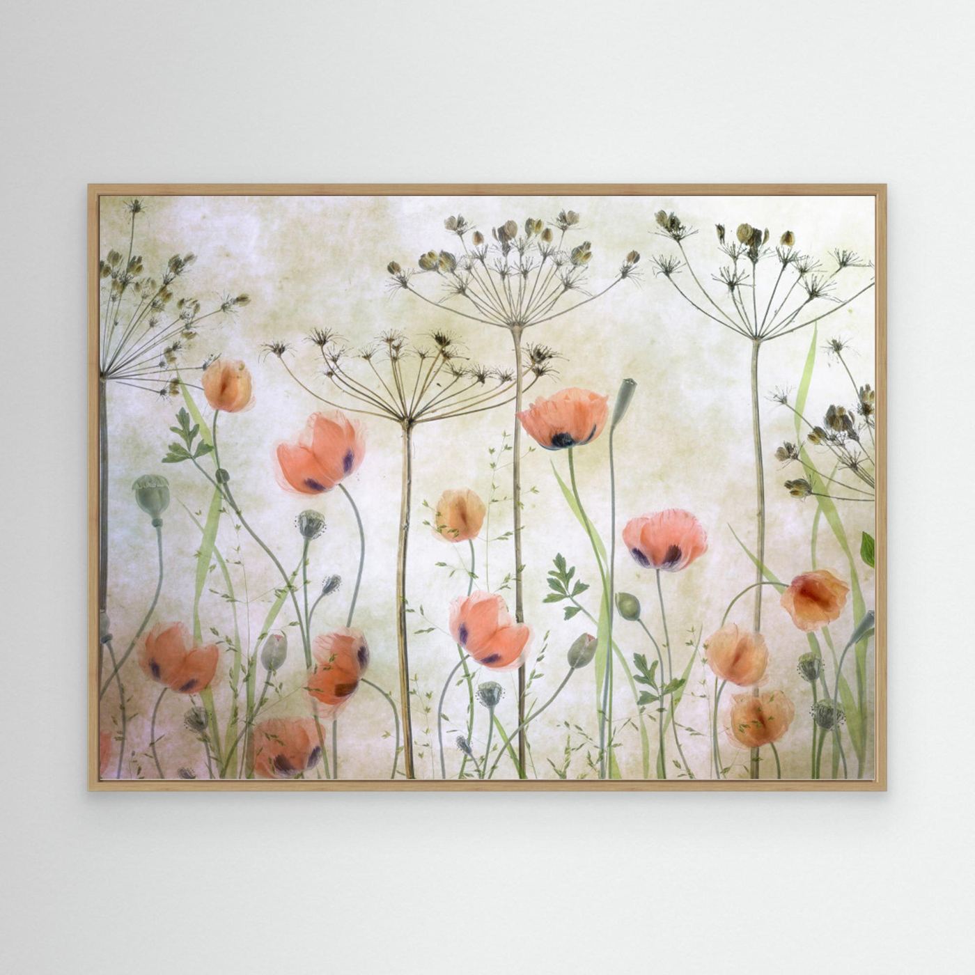Poppy Meadow by Mandy Disher