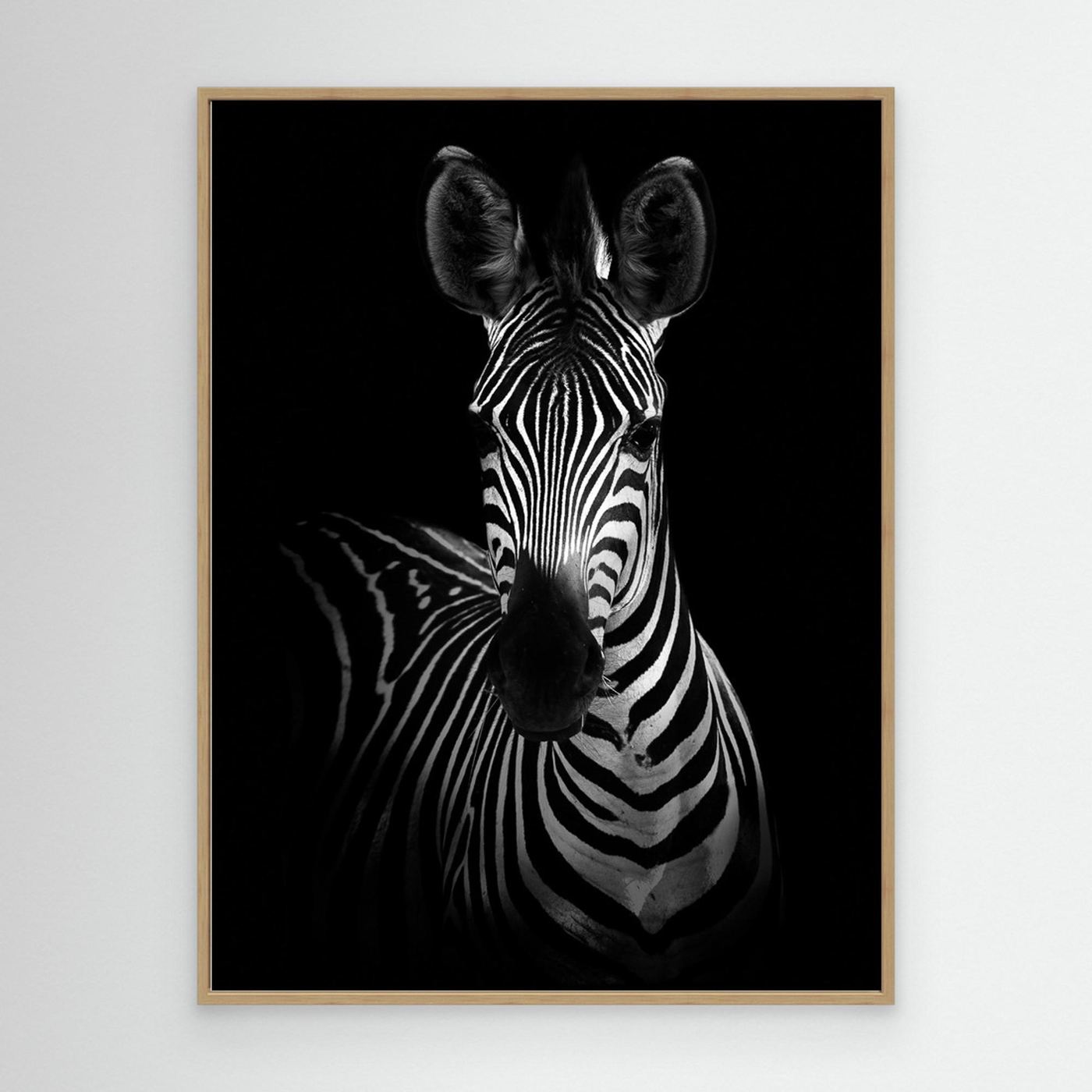 The Zebra by Wild Photo Art