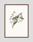 Delicate White Botanical Study Vintage Wall Art Print Oak Dark No border