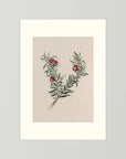 Vintage Red Berry Botanical Art Print