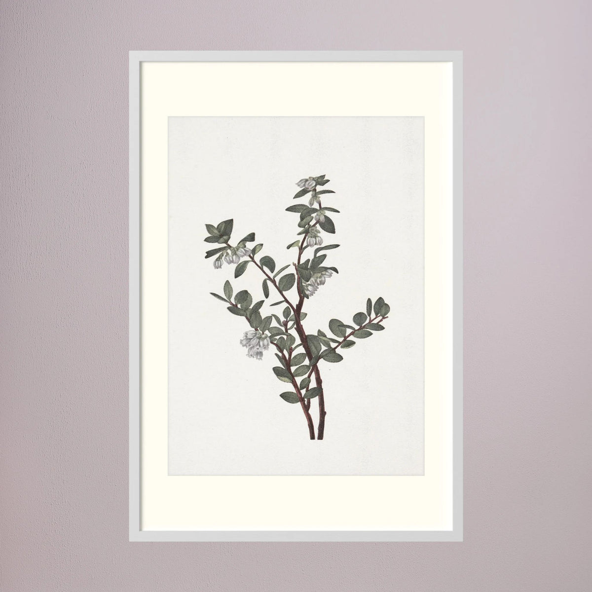 Green Berry Botanical Study Vintage Wall Art Print