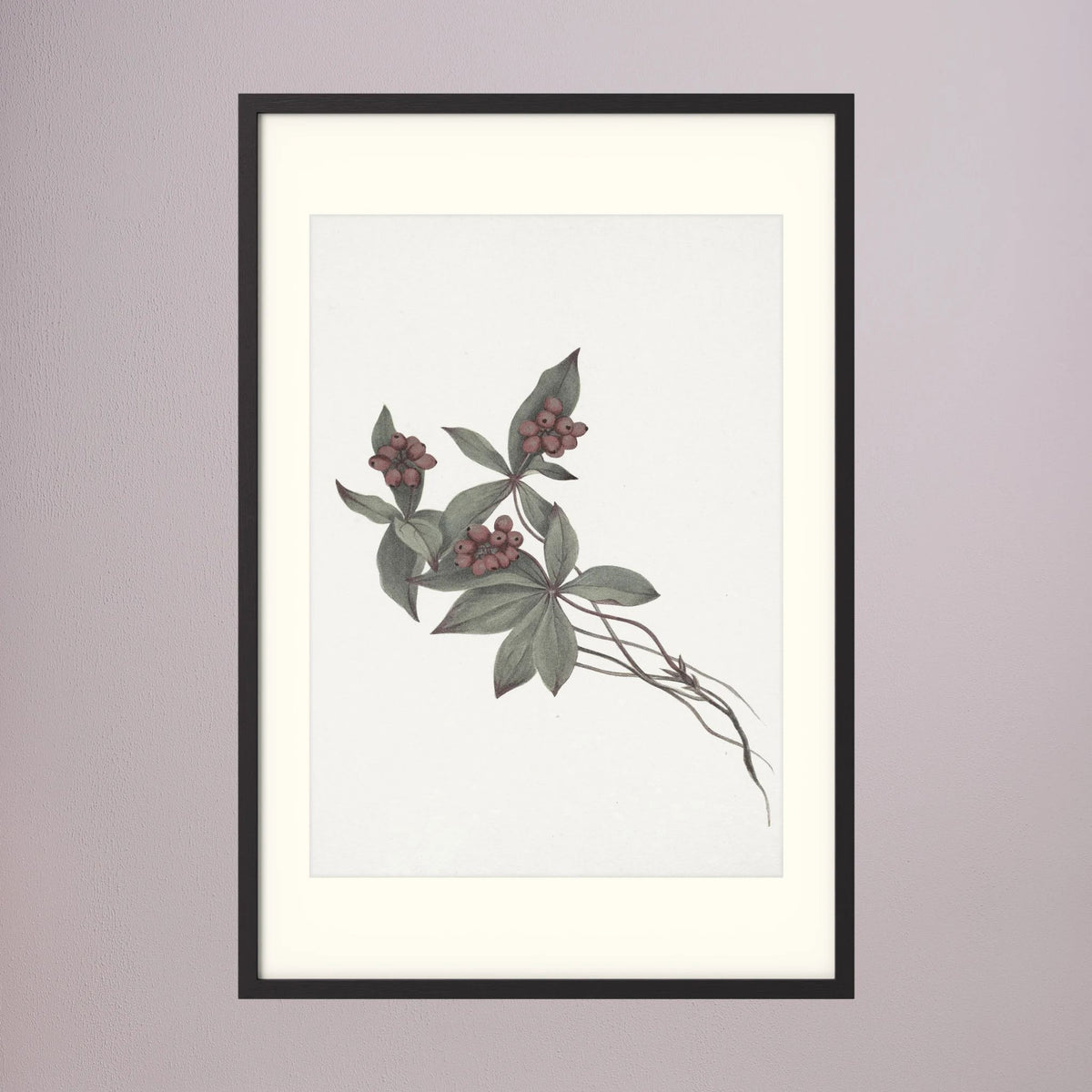 Pink Botanical Branch Study Vintage Wall Art Print Black Wood Freja