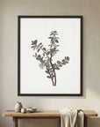 Green Berry Botanical Study Vintage Wall Art Print