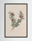 Vintage Red Berry Botanical Art Print