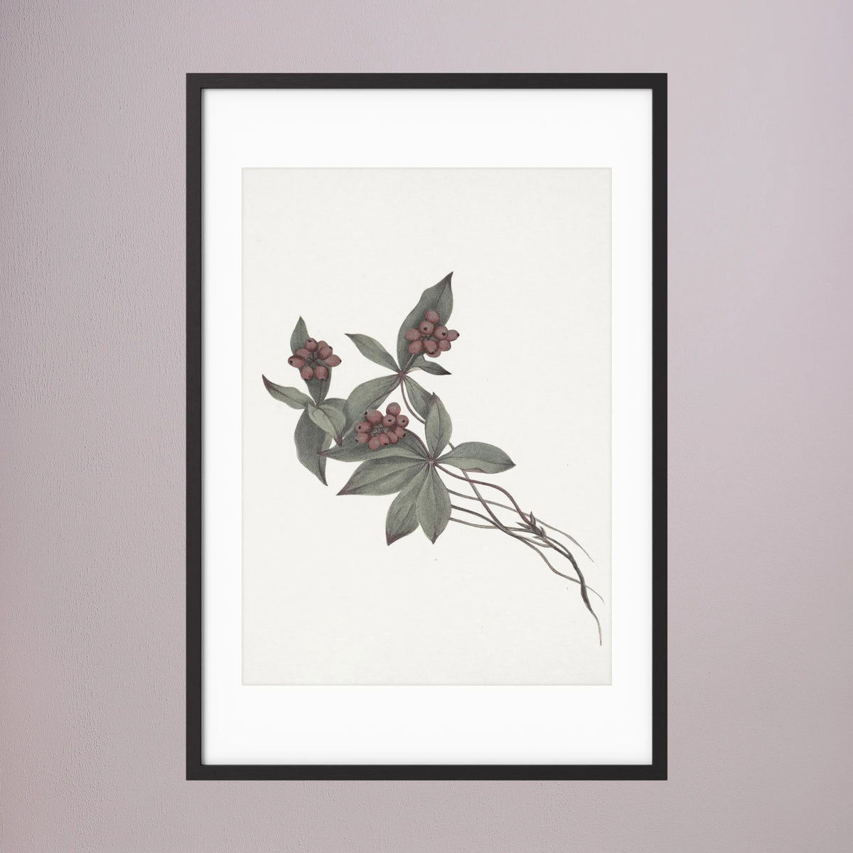 Pink Botanical Branch Study Vintage Wall Art Print Black Wood White