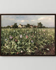 Wildflower Field Landscape