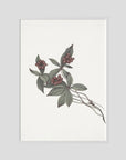 Pink Botanical Branch Study Vintage Wall Art Print White Wood No border