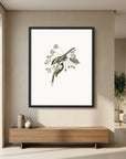Delicate White Botanical Study Vintage Wall Art Print