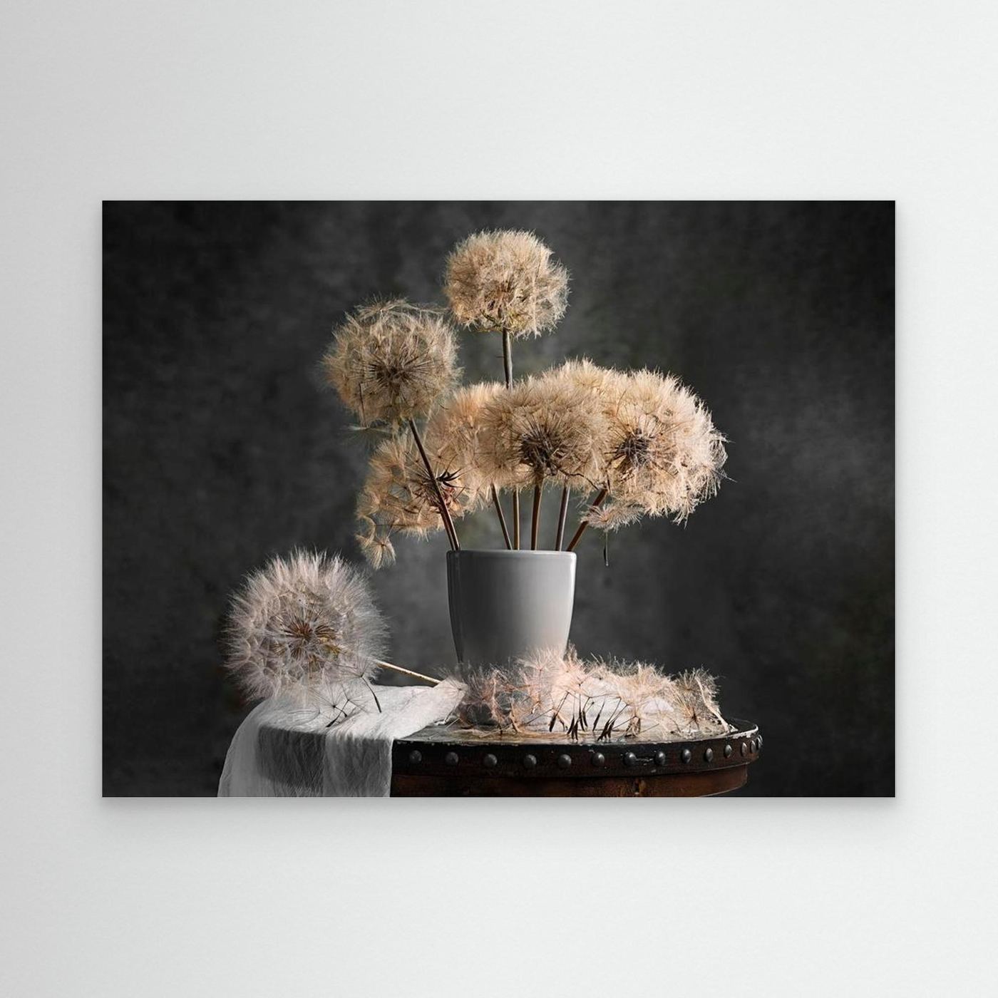 Dandelion Seed Pod by Lydia Jacobs