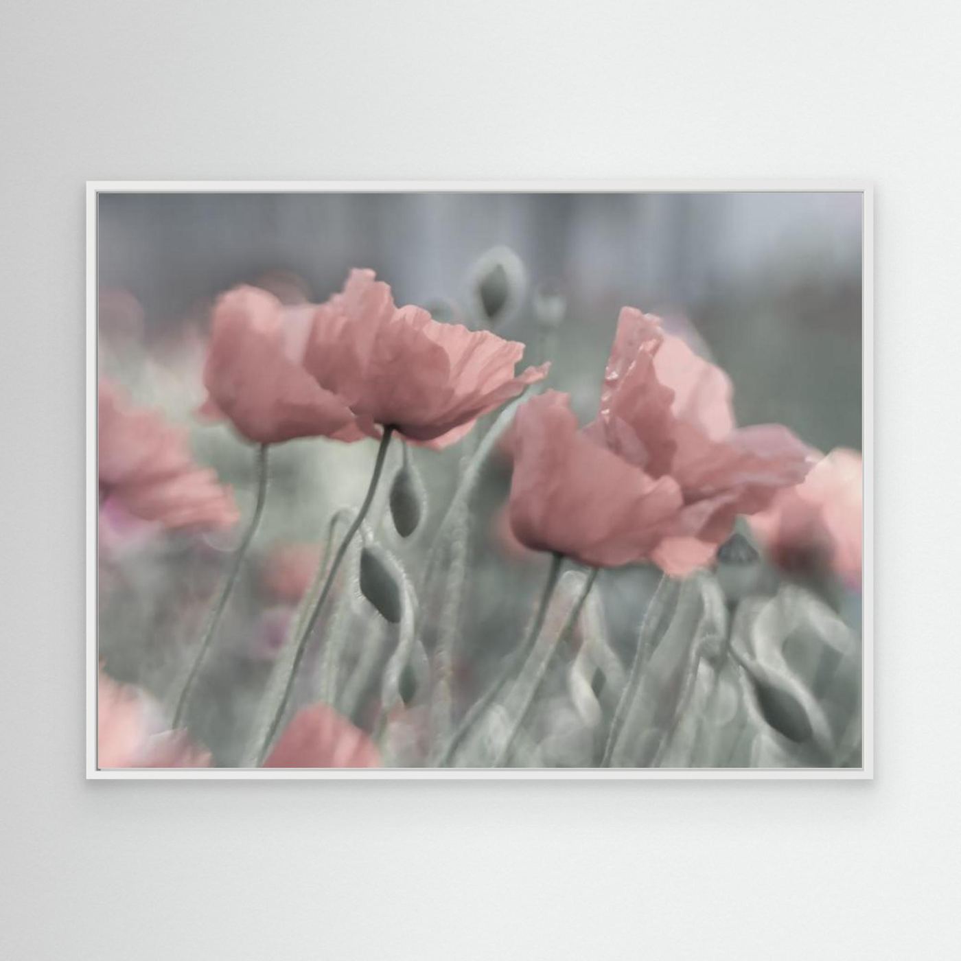 Softly by Anne Worner