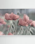 Softly by Anne Worner