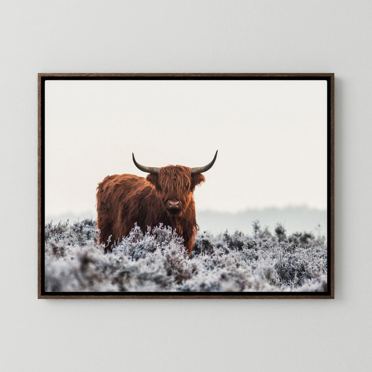 Highlander by Jaap Van Den Helm