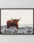 Highlander by Jaap Van Den Helm