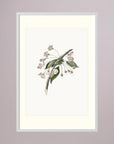 Delicate White Botanical Study Vintage Wall Art Print White Wood Freja