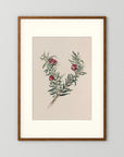 Vintage Red Berry Botanical Art Print
