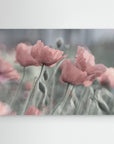 Softly by Anne Worner