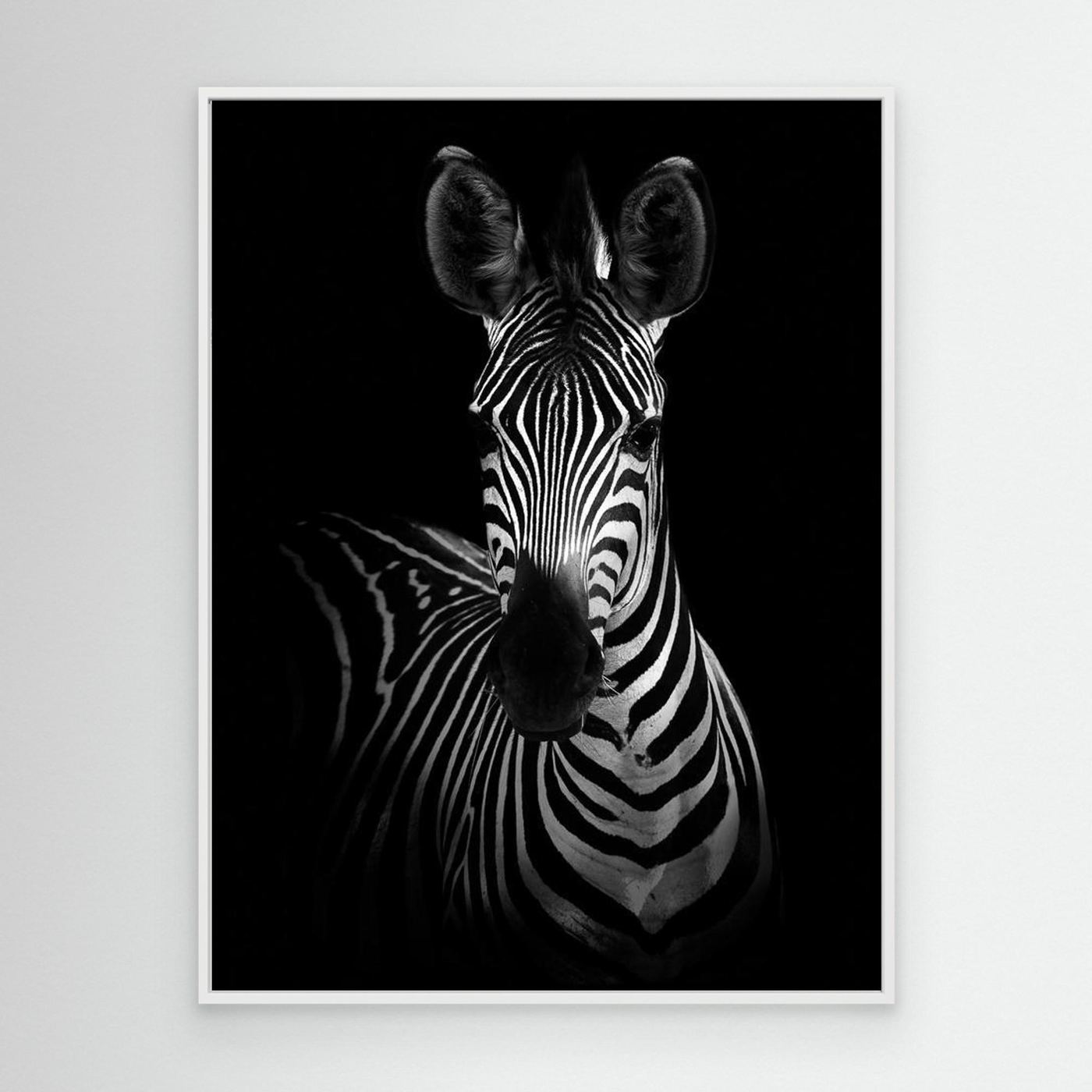The Zebra by Wild Photo Art