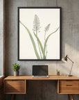 White Hyacinth Botanical Study Vintage Wall Art Print