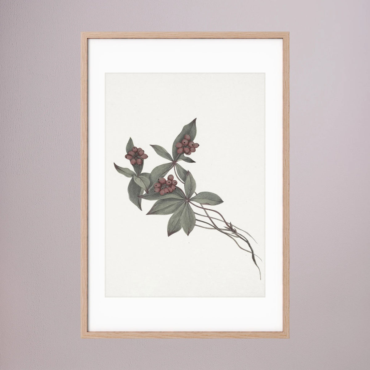 Pink Botanical Branch Study Vintage Wall Art Print Oak Nature White