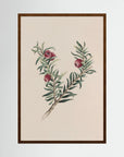 Vintage Red Berry Botanical Art Print