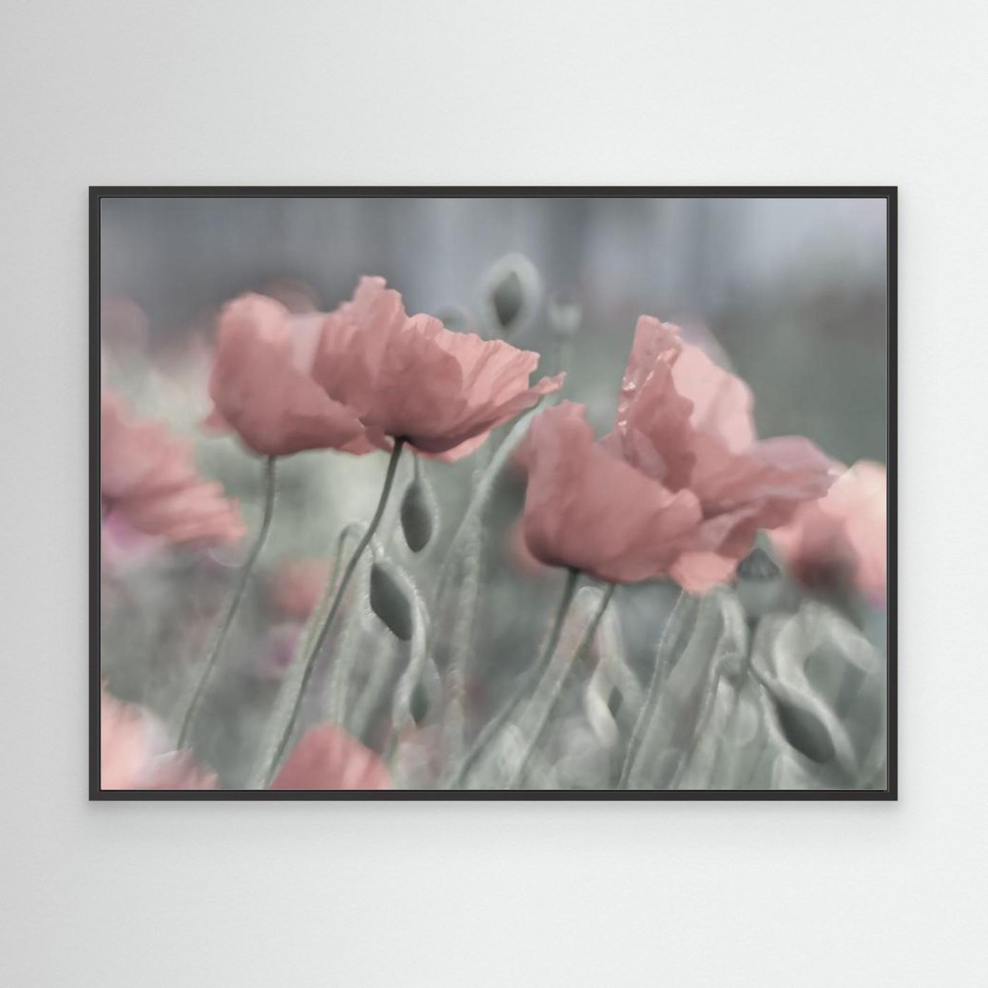 Softly by Anne Worner