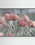 Softly by Anne Worner